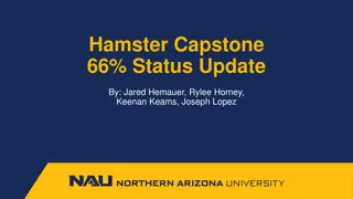 Hamster Capstone Project Updates and Iterations