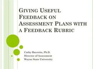 Effective Feedback Rubric for Assessment Plans
