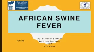 African Swine Fever