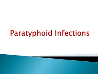 Salmonella Infections and Prevention in Poultry
