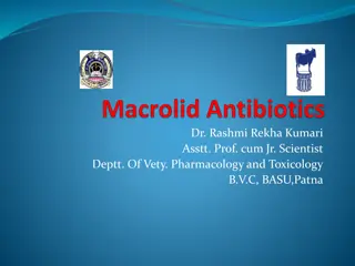 Macrolide Antibiotics and Their Mechanism of Action
