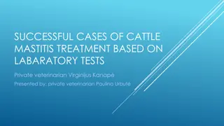 Successful Cases of Cattle Mastitis Treatment Based on Laboratory Tests