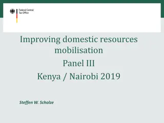 Improving Domestic Resources Mobilisation Panel in Kenya Nairobi 2019