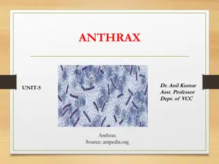 Anthrax: Causes, Symptoms, and Treatment