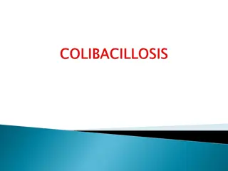 Colibacillosis in Livestock