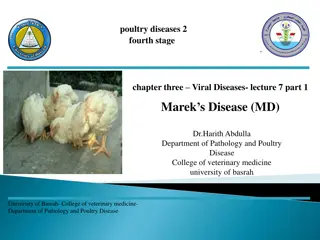 Marek's Disease (MD): Overview, Symptoms, and Prevention