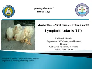 Lymphoid Leukosis in Poultry: Causes, Symptoms, and Prevention