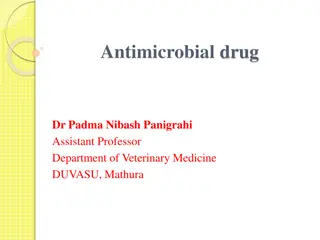 Antimicrobial Drug Classification and Mechanisms of Action