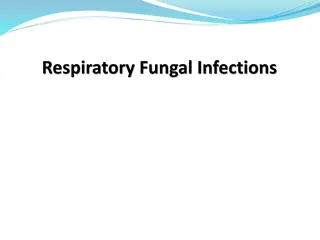 Respiratory Fungal Infections and Their Impact