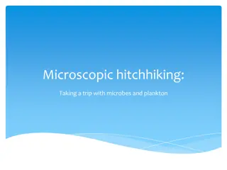 Exploring Microscopic Hitchhiking: The World of Microbes and Plankton