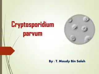 Cryptosporidium Parvum: Causes, Symptoms & Diagnosis