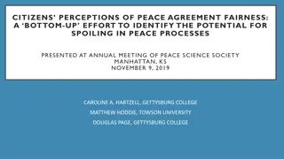 Citizens' Perception of Peace Agreement Fairness and Spoiling Behavior