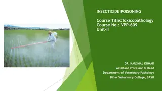 Insecticide Poisoning in Veterinary Pathology