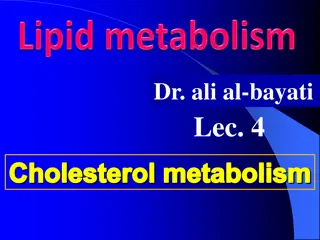 Cholesterol Metabolism in Animals