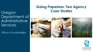 The Impact of Going Paperless on Sustainability: Case Studies & Benefits