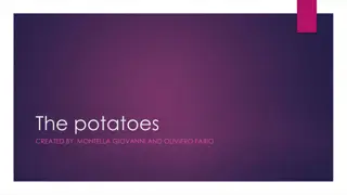 Delicious Potato History and Gateau Tradition