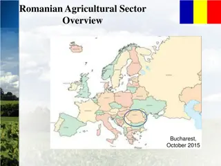 Insight into Romanian Agricultural Sector in Bucharest