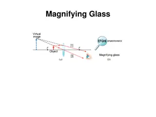 Human Eye Anatomy and Lens Functions