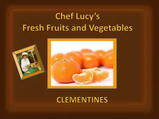 All About Clementines: Nutrition, Origin, and Seasonal Favorites