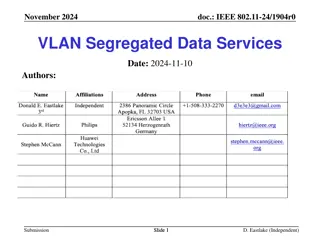 IEEE 802.11 VLAN Segregated Data Services Overview