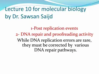 DNA Methylation in Molecular Biology: Functions and Mechanisms