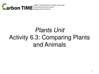 Carbon Transformations in Plants and Animals
