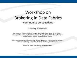 Brokering in Data Fabrics: Community Perspectives Workshop