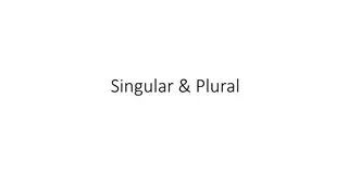 Singular and Plural Nouns in English