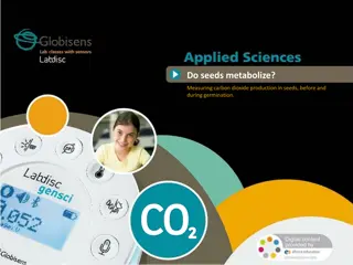 Plant Metabolism: Carbon Dioxide Production in Seeds