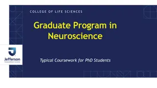 Neuroscience PhD Program Coursework Overview