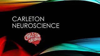 Carleton Neuroscience Program Overview