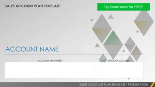 Sales Account Plan Template Overview and Action Plan Presentation