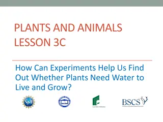 Discovering Plant Water Needs Through Experiments