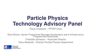 Particle Physics Technology Advisory Panel Overview