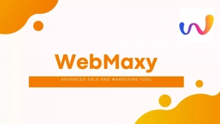 Social Media Management Services  | WebMaxy