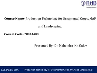 Production Technology for Ornamental Crops and Landscaping
