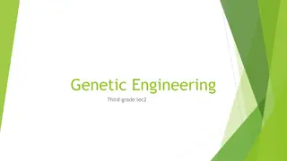 Restriction Enzymes in Genetic Engineering