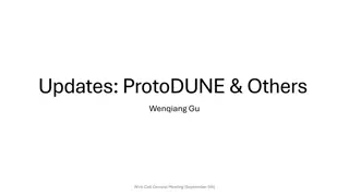 Wire-Cell General Meeting Updates & ProtoDUNE News