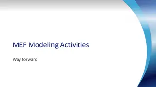 MEF Modeling Activities and LSO-Related Projects Overview