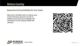 Creative Presentation Slides Showcase Various Visual Designs