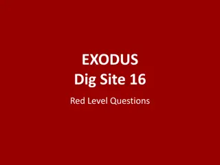 Unveiling Offerings and Instructions from Exodus Dig Site 16