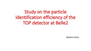 Efficiency Study on Particle Identification at Belle2 TOP Detector
