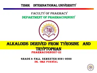 Fascinating Insights into Alkaloids Derived from Tryptophan in Pharmacognosy
