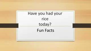 Rice: A Symbol of Asia's Culture and Traditions