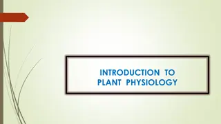 Plant Physiology: Functions and Processes Revealed