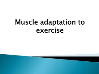Muscle Adaptation and Performance in Exercise Training