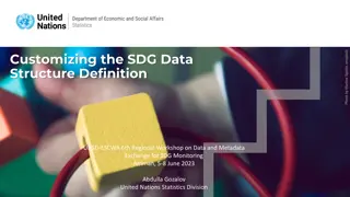 Guidelines for Customizing Global SDG Data Structure