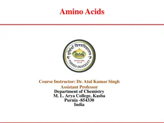 Amino Acids Course and Preparation Methods