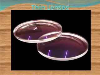 Types of Lenses and Lens Terminology