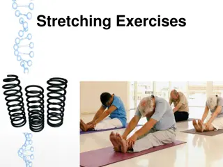Effective Stretching Exercises for Flexibility & Mobility